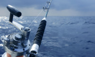 La-Pesca