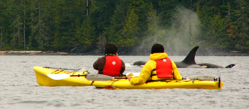 Orche-in-canada