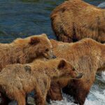 Viaggio Canada e Alaska