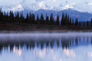 glacier_bay_national_park_and_preserve_alaska_us