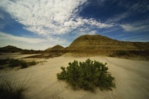 Alberta West Canada