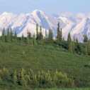 Vista del Denali national park in Alaska