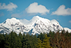 Port alberni escursioni