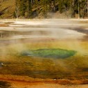 geyser nello yellowstone national park