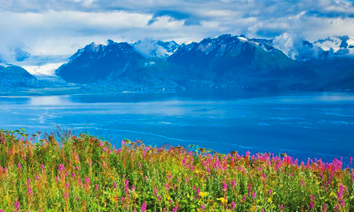 VIAGGIO ALASKA DENALI