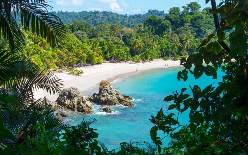 la foresta tropicale del costarica