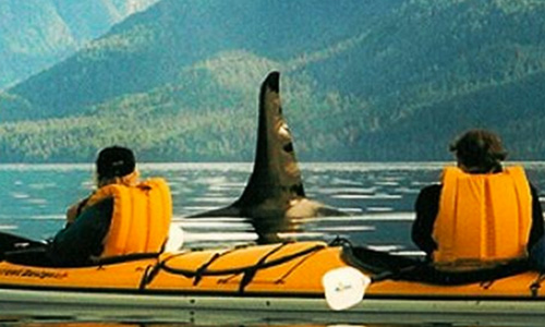 avventura kayak destinazioni - WEST CANADA