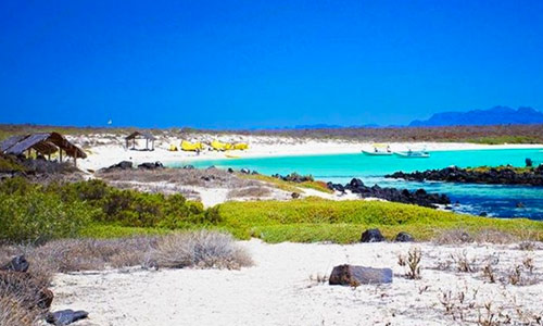 DESERTO E LE BALENE