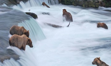 TOUR DELUXE IN ALASKA 