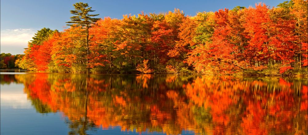 algonquin park autumn 1 - Il Periodo migliore per visitare il Canada.