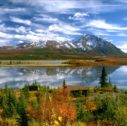 Viaggio con Crociera Alaska